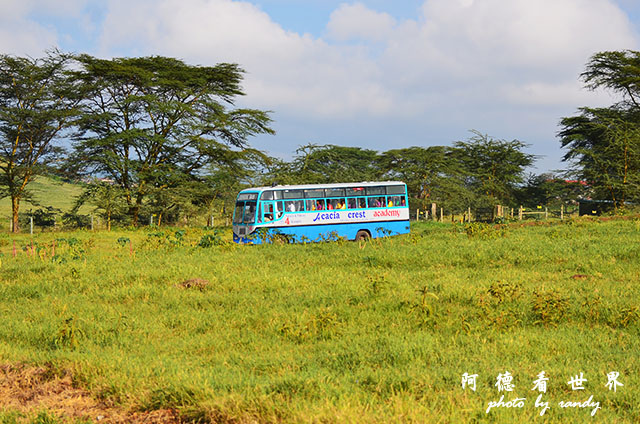 nakuru2D7000 019.JPG nakuru2D7000 019.JPG