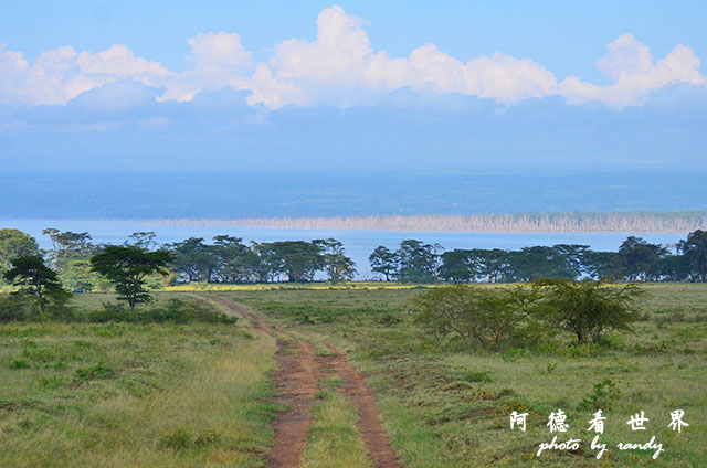 nakuru2D7000 031.JPG nakuru2D7000 031.JPG