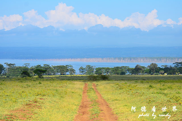 nakuru2D7000 041.JPG nakuru2D7000 041.JPG