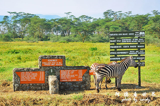 nakuru2P7700 191.JPG nakuru2P7700 191.JPG