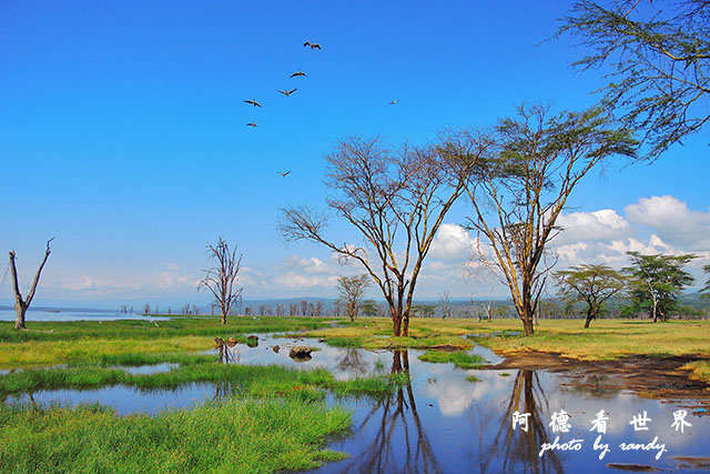 nakuru2P7700 252.JPG nakuru2P7700 252.JPG