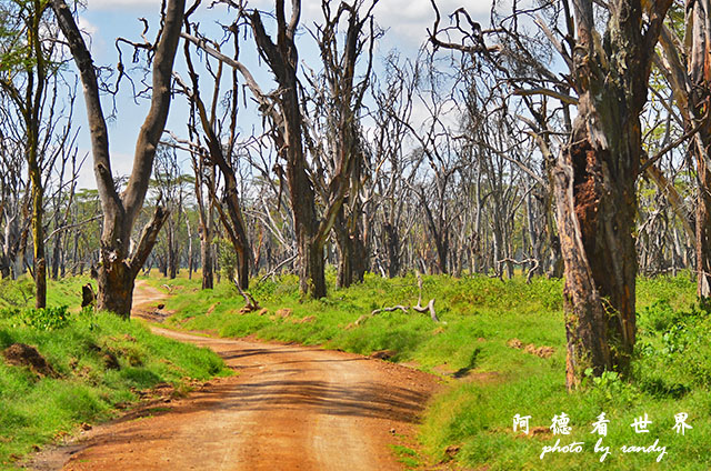 nakuru2D7000 198.JPG nakuru2D7000 198.JPG