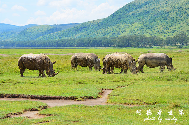 nakuru2D7000 281.JPG nakuru2D7000 281.JPG