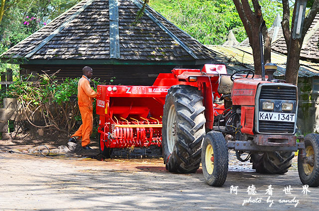 nakuru2D7000 330.JPG nakuru2D7000 330.JPG