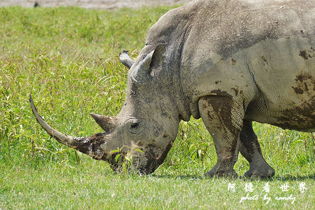 nakuru2FZ200 (92).JPG nakuru2FZ200 (92).JPG