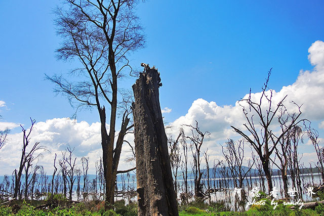 nakuru2P7700 314.JPG nakuru2P7700 314.JPG