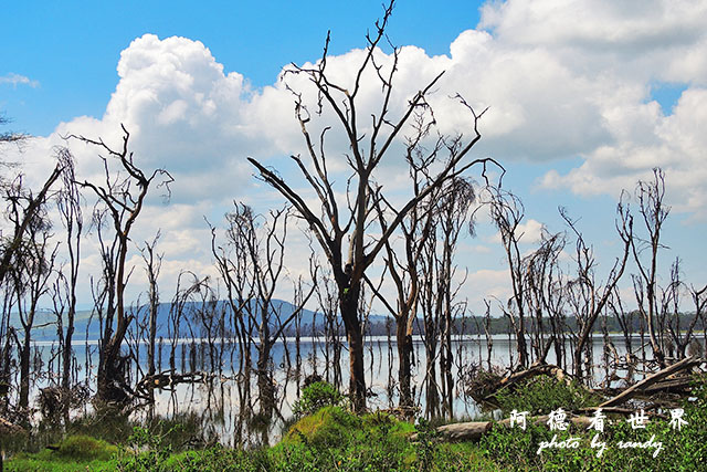 nakuru2P7700 317.JPG nakuru2P7700 317.JPG
