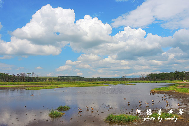 nakuru2P7700 377.JPG