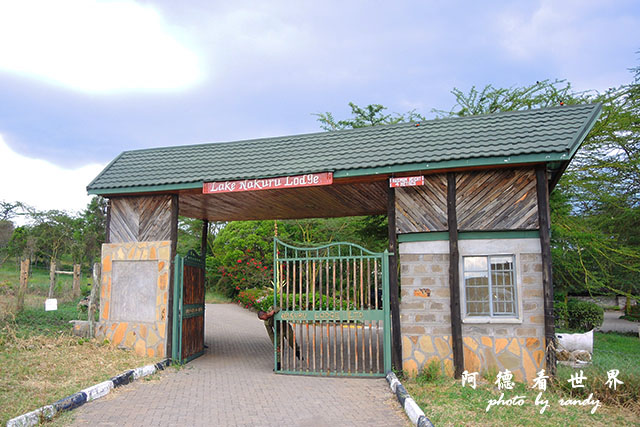 nakuru2P7700 418.JPG nakuru2P7700 418.JPG