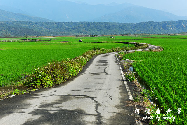 大農大富-2 009.JPG 大農大富-2 009.JPG