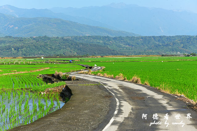 大農大富-2 013.JPG 大農大富-2 013.JPG