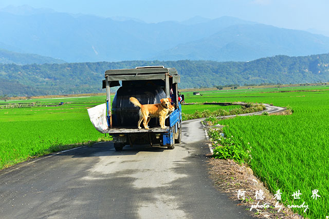 大農大富-2 006.JPG 大農大富-2 006.JPG