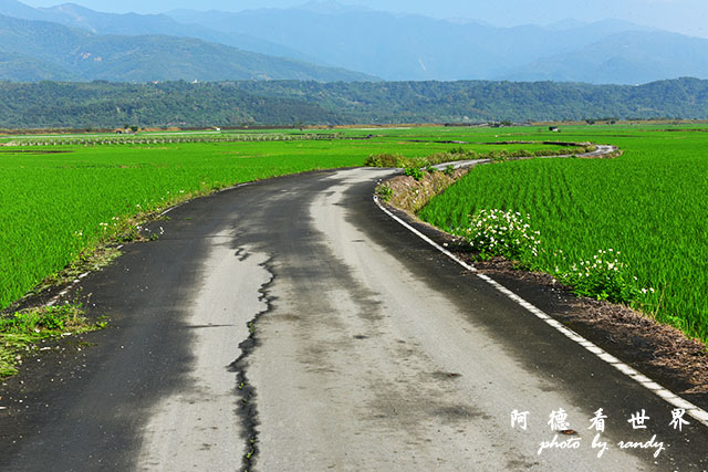 大農大富-2 004.JPG 大農大富-2 004.JPG