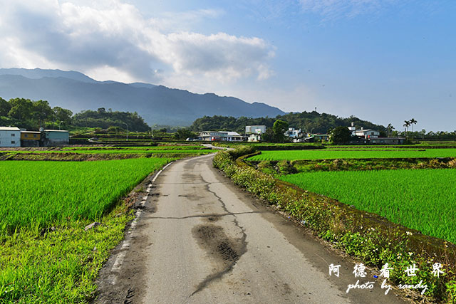 大農大富-2 015.JPG 大農大富-2 015.JPG