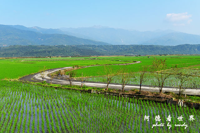 大農大富-2 018.JPG 大農大富-2 018.JPG