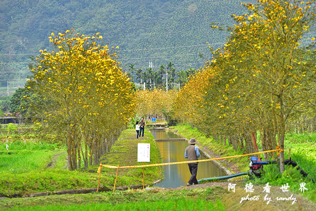 大農大富-2 039.JPG 大農大富-2 039.JPG