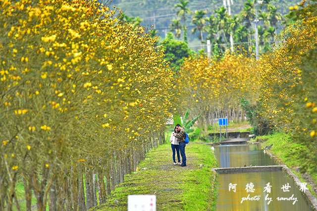 大農大富-2 047.JPG 大農大富-2 047.JPG