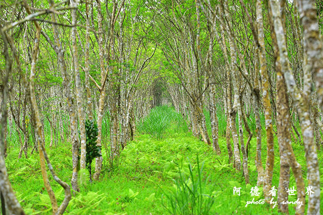 大農大富-2 054.JPG 大農大富-2 054.JPG