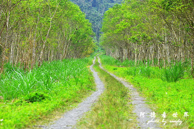 大農大富-2 055.JPG 大農大富-2 055.JPG