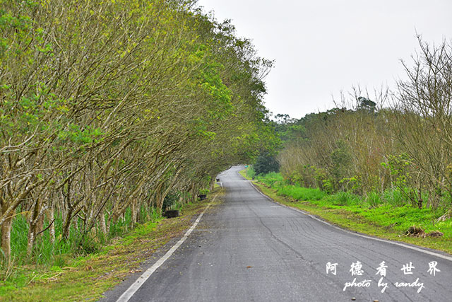 大農大富-2 076.JPG 大農大富-2 076.JPG