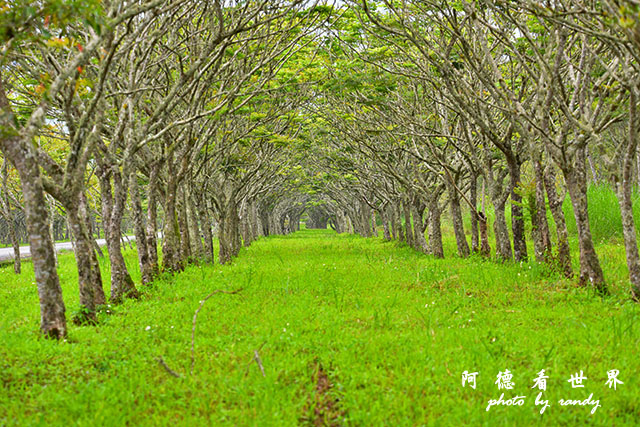 大農大富-2 077.JPG 大農大富-2 077.JPG