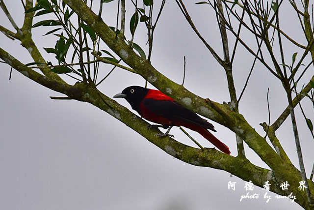 大農大富-2 137.JPG 大農大富-2 137.JPG