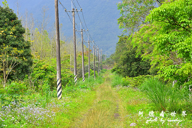 大農大富-2 133.JPG 大農大富-2 133.JPG