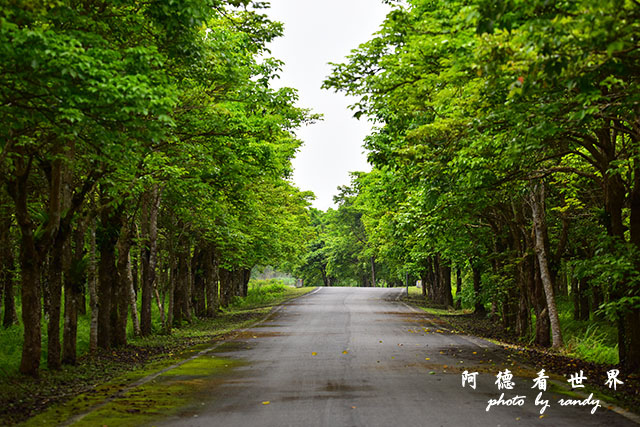 大農大富-2 132.JPG 大農大富-2 132.JPG