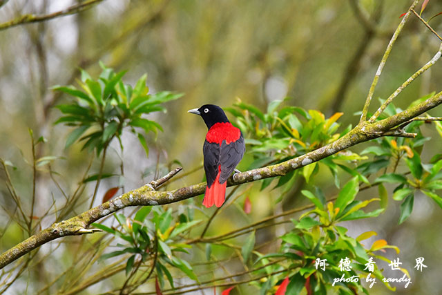 大農大富-2 160.JPG 大農大富-2 160.JPG