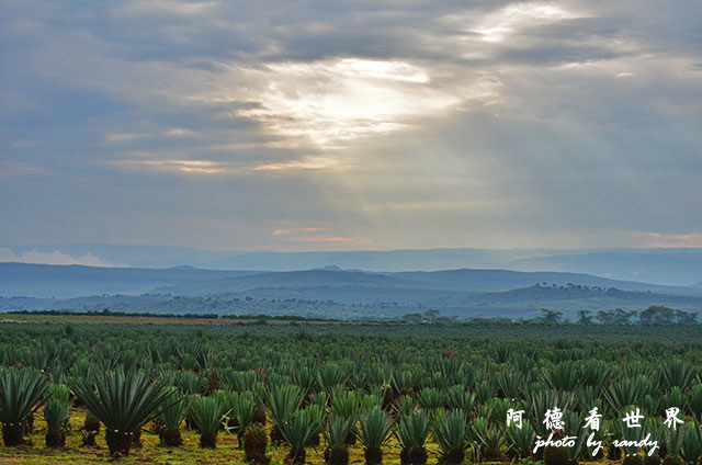 baringoD7000 007.JPG baringoD7000 007.JPG