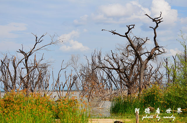 baringoD7000 087.JPG baringoD7000 087.JPG