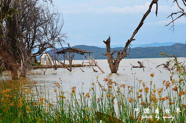 baringoD7000 132.JPG baringoD7000 132.JPG