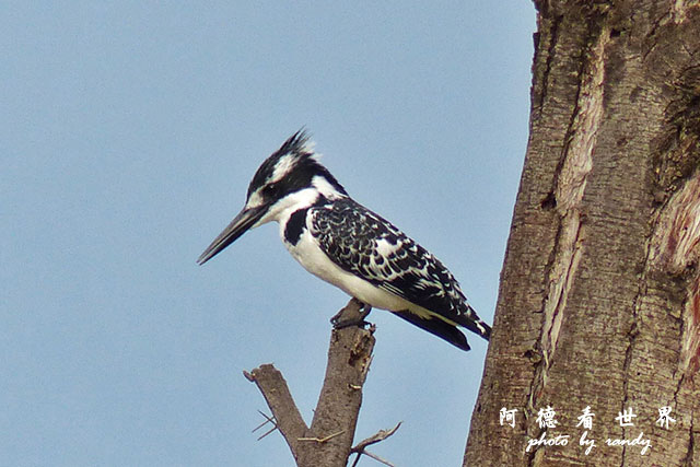 baringoFZ200 (66).JPG baringoFZ200 (66).JPG