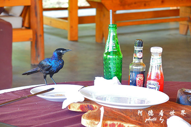 baringoP7700 049.JPG baringoP7700 049.JPG