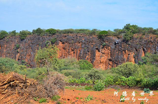 bogoriaD7000 031.JPG bogoriaD7000 031.JPG