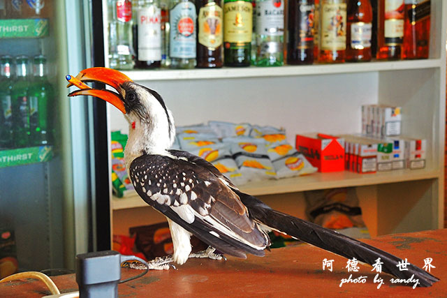 bogoriaP7700 005.JPG bogoriaP7700 005.JPG