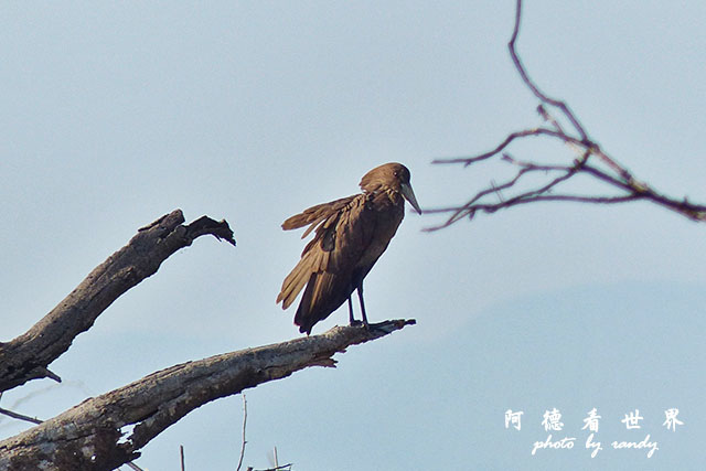 P1670411.jpg P1670411.jpg