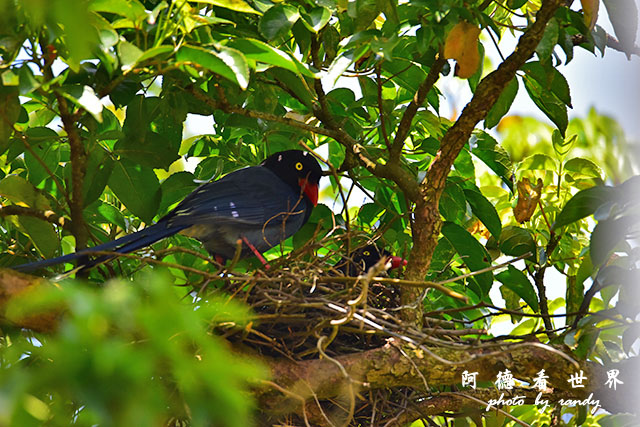 前山公園0405 001.JPG 前山公園0405 001.JPG