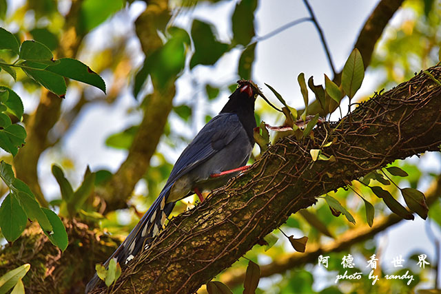 前山公園0405 002.JPG 前山公園0405 002.JPG