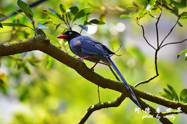 前山公園0405 006.JPG 前山公園0405 006.JPG