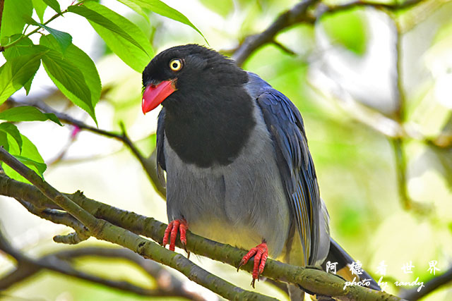 前山公園0405 024.JPG 前山公園0405 024.JPG