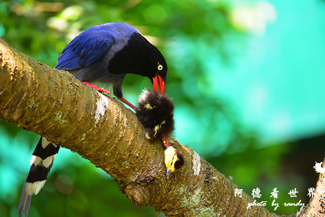 前山公園0405 018.JPG 前山公園0405 018.JPG