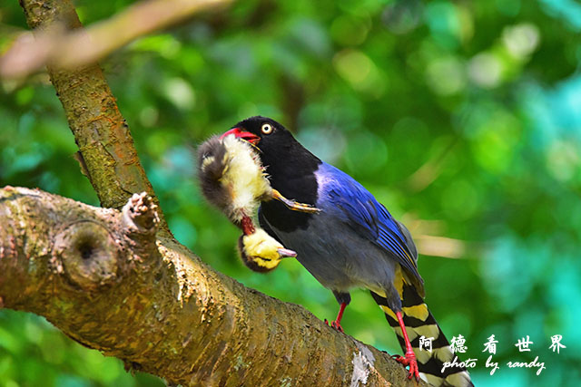 前山公園0405 021.JPG 前山公園0405 021.JPG