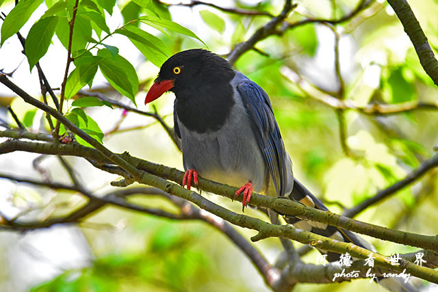 前山公園0405 025.JPG 前山公園0405 025.JPG