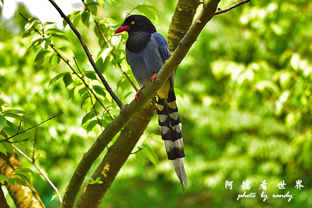 前山公園0405 029.JPG 前山公園0405 029.JPG