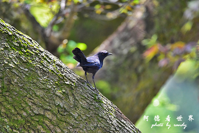 前山公園0405 042.JPG 前山公園0405 042.JPG
