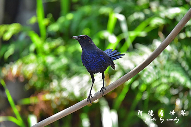 前山公園0405 045.JPG 前山公園0405 045.JPG