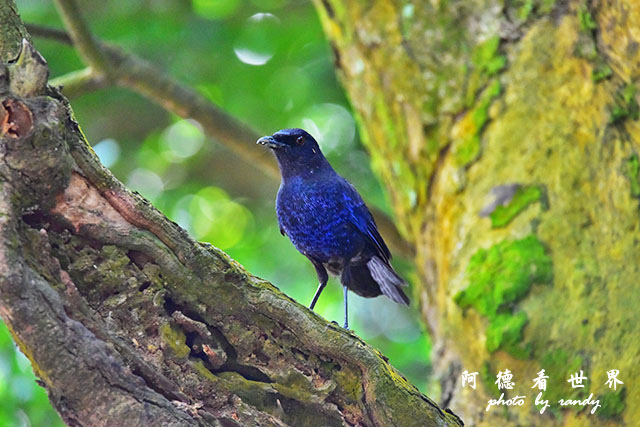 前山公園0405 052.JPG 前山公園0405 052.JPG