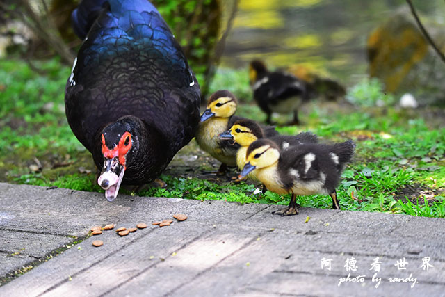 前山公園0405 065.JPG 前山公園0405 065.JPG