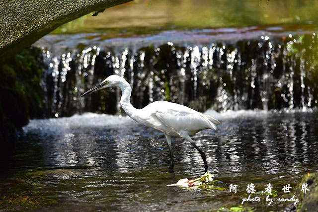 前山公園0405 085.JPG 前山公園0405 085.JPG